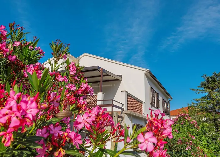 Apartment Vinka